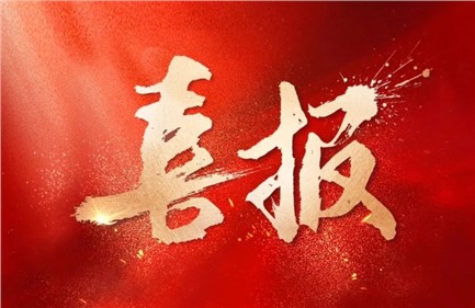 喜報(bào)|威勝集團(tuán)中標(biāo)國(guó)家電網(wǎng)項(xiàng)目，總中標(biāo)金額超1.15億元，行業(yè)排名第一！