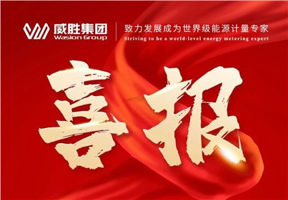 排名第一！威勝集團(tuán)2024年中標(biāo)國(guó)網(wǎng)總部集中招標(biāo)采購(gòu)項(xiàng)目總金額達(dá)5.97億元！